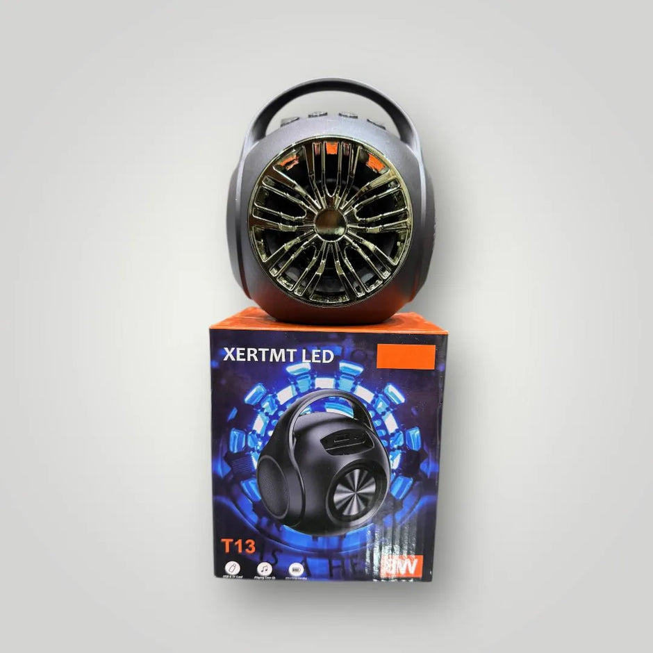 صب T13