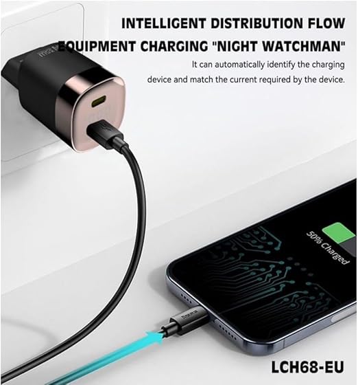 Lenyes Type-C Charger LCH368