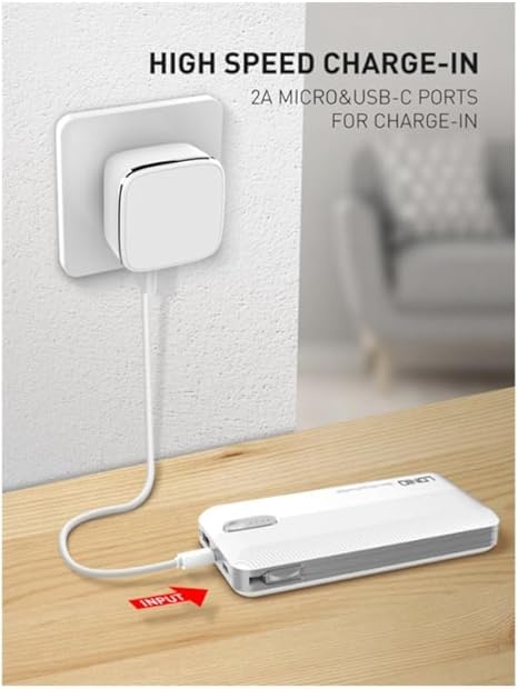 power Ldnio 1000 pl1013