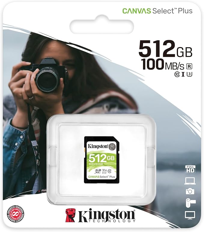 كارت KINGSTON 512G