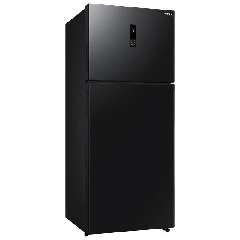 Samsung REF RT40DG3110BV