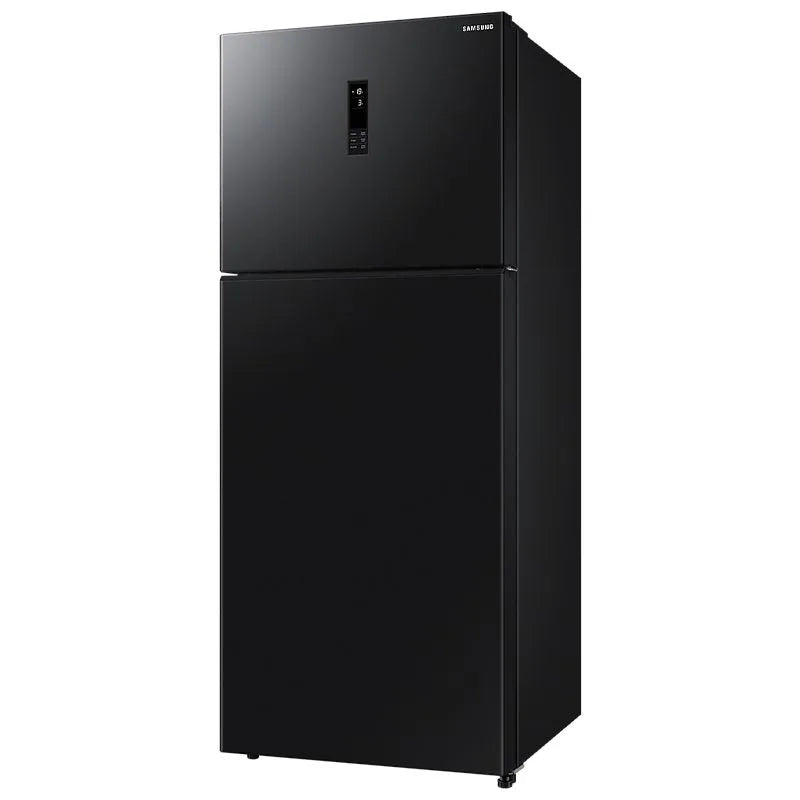 Samsung REF RT40DG3110BV