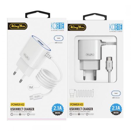 Lenyes Lightning Charger LCH368