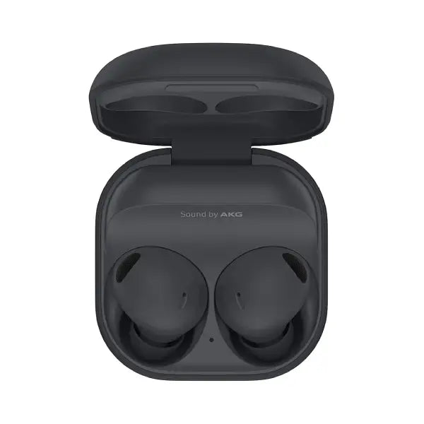 Samsung Galaxy Buds2 Pro Graphite
