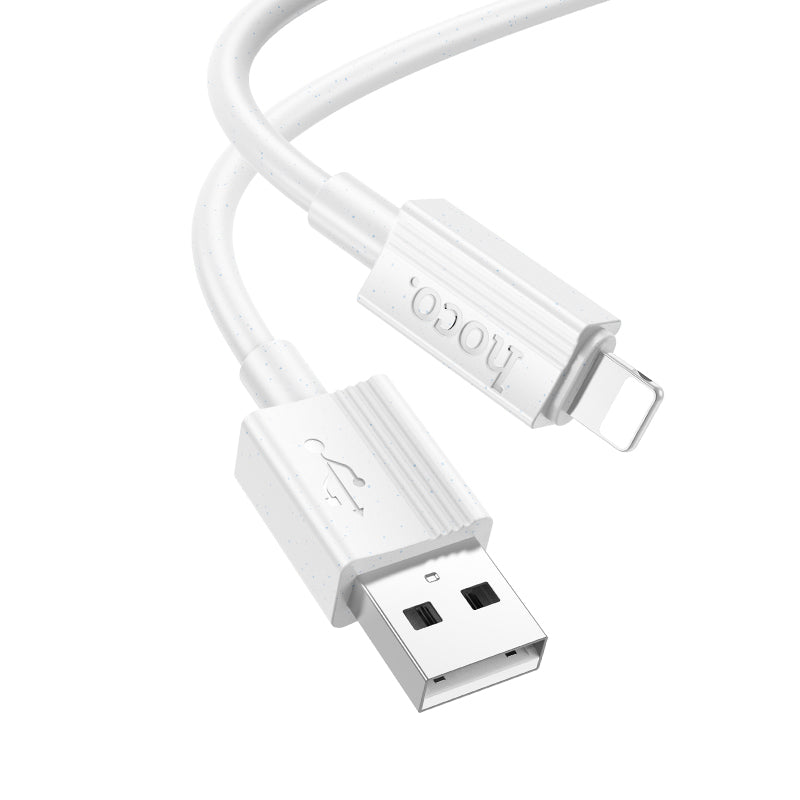 Hoco Lightning USB X107
