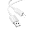 Hoco Lightning USB X107