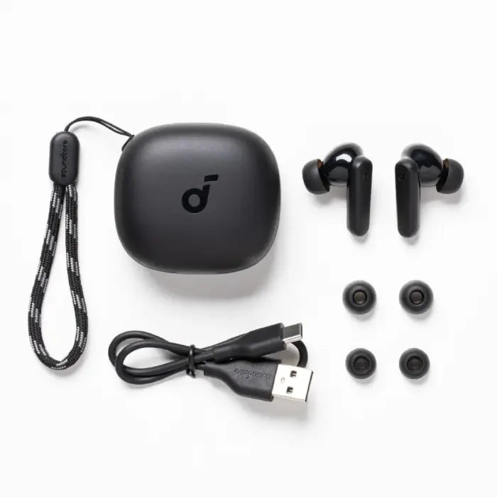 Anker Soundcore R50i VI Earphone - Black