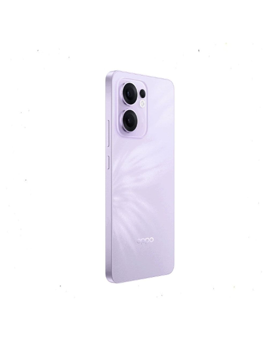 Oppo Reno 13F 8-256G
