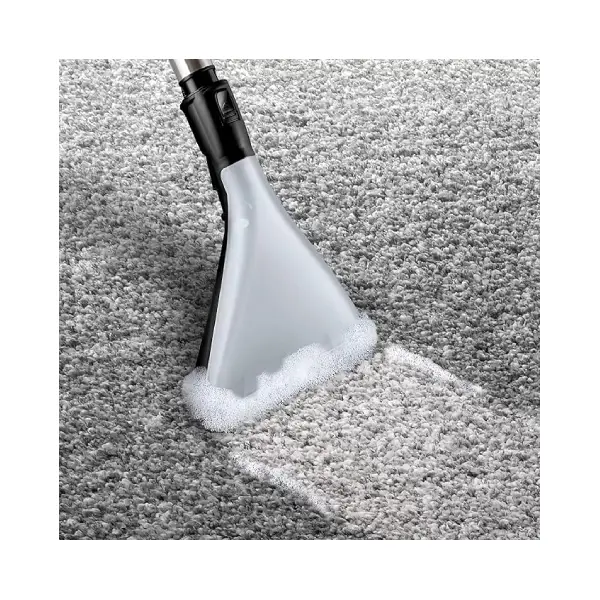 Vcc Cleaner We&dry 2100W BWD421pro